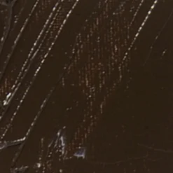 PÉBÉO - Peinture à l'huile fine xl studio - ombre brûlée - 200 ml