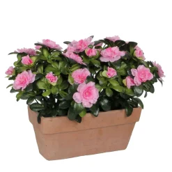 Plante artificielle : Jardinière azaléa rose L.29 x H.27 cm