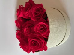 PLANTESTABILISÉE.COM - Boite ronde de roses stabilisées - roses stabilisées - décoration d'intérieur - 15 cm