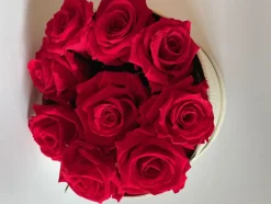 PLANTESTABILISÉE.COM - Boite ronde de roses stabilisées - roses stabilisées - décoration d'intérieur - 15 cm