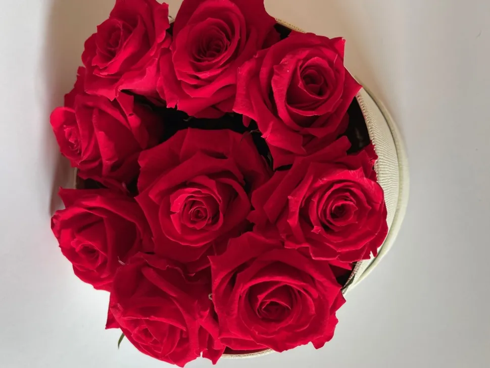 PLANTESTABILISÉE.COM - Boite ronde de roses stabilisées - roses stabilisées - décoration d'intérieur - 15 cm