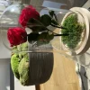 PLANTESTABILISÉE.COM - Roses rouges stabilisées sous cloche - roses stabilisées - décoration d'intérieur - 22 cm