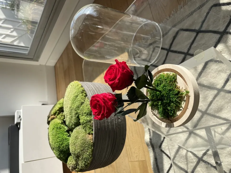 PLANTESTABILISÉE.COM - Roses rouges stabilisées sous cloche - roses stabilisées - décoration d'intérieur - 22 cm