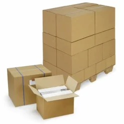 RAJA - 10 cartons d'emballage 31 x 22 x 20 cm - double cannelure