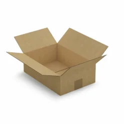 RAJA - 15 cartons d'emballage 31 x 21.5 x 10 cm - simple cannelure