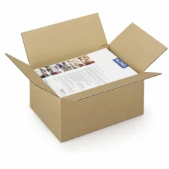RAJA - 15 cartons d'emballage 31 x 21.5 x 10 cm - simple cannelure