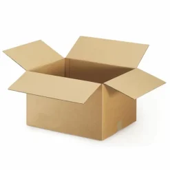 RAJA - 20 cartons d'emballage 20 x 20 x 11 cm - simple cannelure