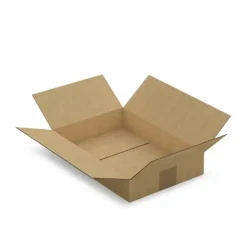 RAJA - 15 cartons d'emballage 31 x 21.5 x 5.5 cm - simple cannelure