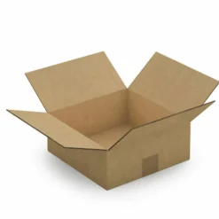 RAJA - 10 cartons d'emballage 25 x 25 x 10 cm - double cannelure