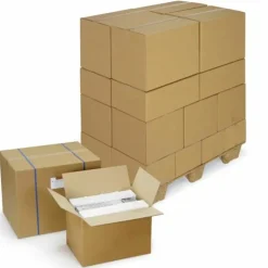 RAJA - 10 cartons d'emballage 25 x 25 x 10 cm - double cannelure