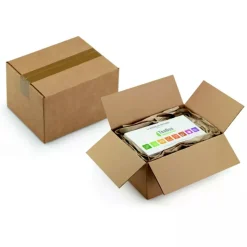 RAJA - 15 cartons d'emballage 35 x 35 x 25 cm - simple cannelure