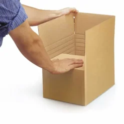 RAJA - 5 cartons d'emballage 30 x 25 x 20 cm - simple cannelure