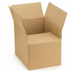 RAJA - 10 cartons d'emballage 30 x 25 x 20 cm - simple cannelure
