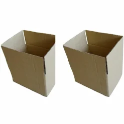 RAJA - 2 cartons d'emballage 20 x 15 x 11 cm