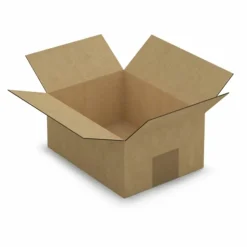 RAJA - 15 cartons d'emballage 20 x 15 x 9 cm - simple cannelure