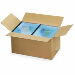 RAJA - 10 cartons d'emballage 23 x 19 x 12 cm - simple cannelure