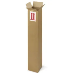 RAJA - 5 cartons d'emballage allongés 50 x 10 x 10 cm - simple cannelure