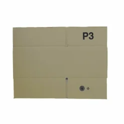 RAJA - 100 cartons d'emballage 20 x 15 x 11 cm