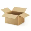 RAJA - 20 cartons d'emballage 16 x 12 x 11 cm - double cannelure