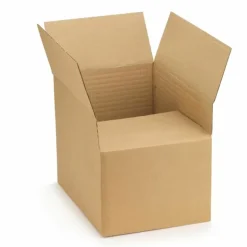 RAJA - 15 cartons d'emballage 31 x 21.5 x 8 cm - simple cannelure