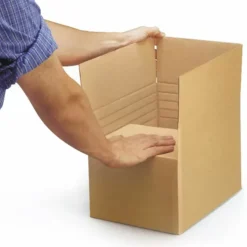 RAJA - 15 cartons d'emballage 31 x 21.5 x 8 cm - simple cannelure