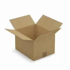 RAJA - 15 cartons d'emballage 30 x 25 x 20 cm - simple cannelure