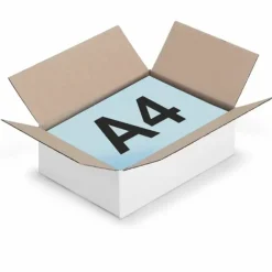 RAJA - 10 cartons d'emballage 31 x 21.5 x 5.5 cm - simple cannelure