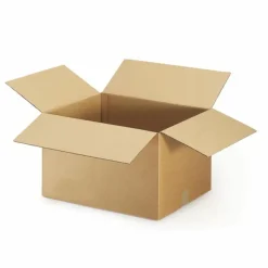 RAJA - 15 cartons d'emballage 16 x 12 x 11 cm - double cannelure