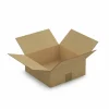 RAJA - 20 cartons d'emballage 25 x 25 x 10 cm - simple cannelure