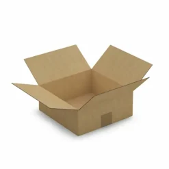 RAJA - 20 cartons d'emballage 25 x 25 x 10 cm - simple cannelure