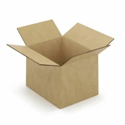 RAJA - 20 cartons d'emballage 25 x 25 x 20 cm - double cannelure