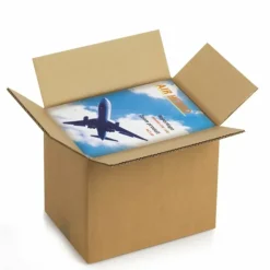 RAJA - 20 cartons d'emballage 25 x 25 x 20 cm - double cannelure