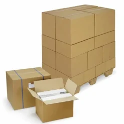 RAJA - 20 cartons d'emballage 25 x 25 x 20 cm - double cannelure