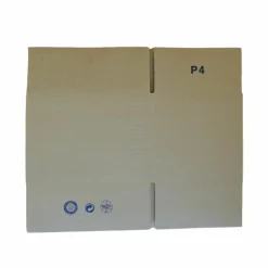 RAJA - 9 petits cartons d'emballage 16 x 12 x 11 cm