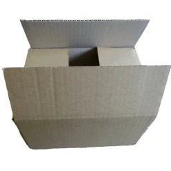 RAJA - 10 petits cartons d'emballage 16 x 12 x 11 cm