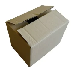 RAJA - Carton d'emballage 20 x 15 x 11 cm