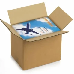 RAJA - Carton d'emballage 25 x 25 x 10 cm - double cannelure