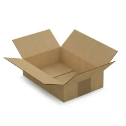 RAJA - Carton d'emballage 21.5 x 15 x 5,5 cm - simple cannelure