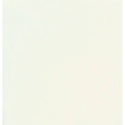 Serviettes x20, intissé 40x40 cm -Uni blanc