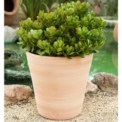 TERRABLANCA - Pot Vaso, en terre cuite claire Ø 33 x H. 33 cm