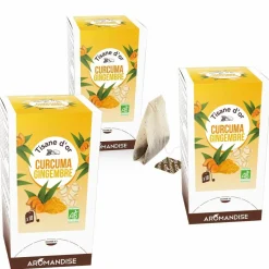 THÉS BIOS DU MONDE - Tisane bio au curcuma et gingembre 54 sachets