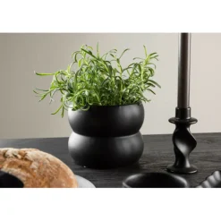 VENTURE HOME - Cache pot dapne 16*16*13cm