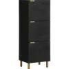 VIDAXL - Buffet noir 40x33x110 cm bois d'ingénierie
