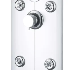 VIDAXL - Panneau de douche 25 x 43 x 120 cm argenté