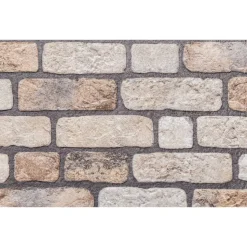 VIDAXL - Panneaux muraux 3d 10 pcs marron clair 100x50 cm eps