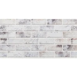 VIDAXL - Panneaux muraux 3d 10 pcs gris clair 100x50 cm eps