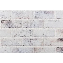 VIDAXL - Panneaux muraux 3d 10 pcs gris clair 100x50 cm eps