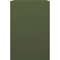 VIDAXL - Portant de bois de chauffage vert 100x40x60 cm acier