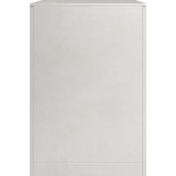 VIDAXL - Portant de bois de chauffage 100x40x60 cm acier inoxydable