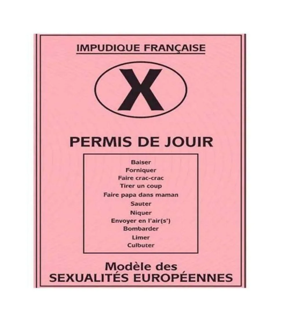 YOUDOIT - Permis de jouir
